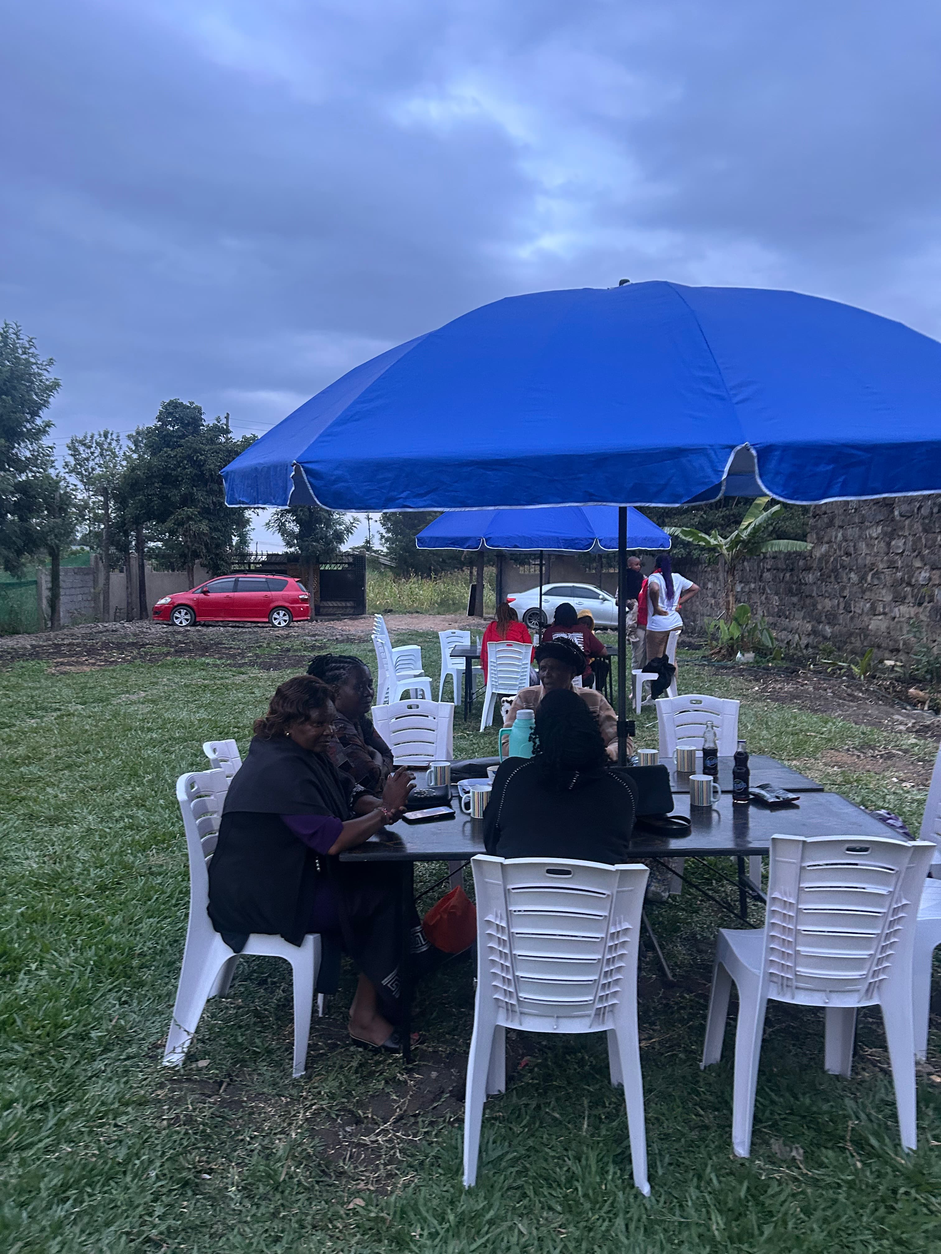Guests dining in the garden